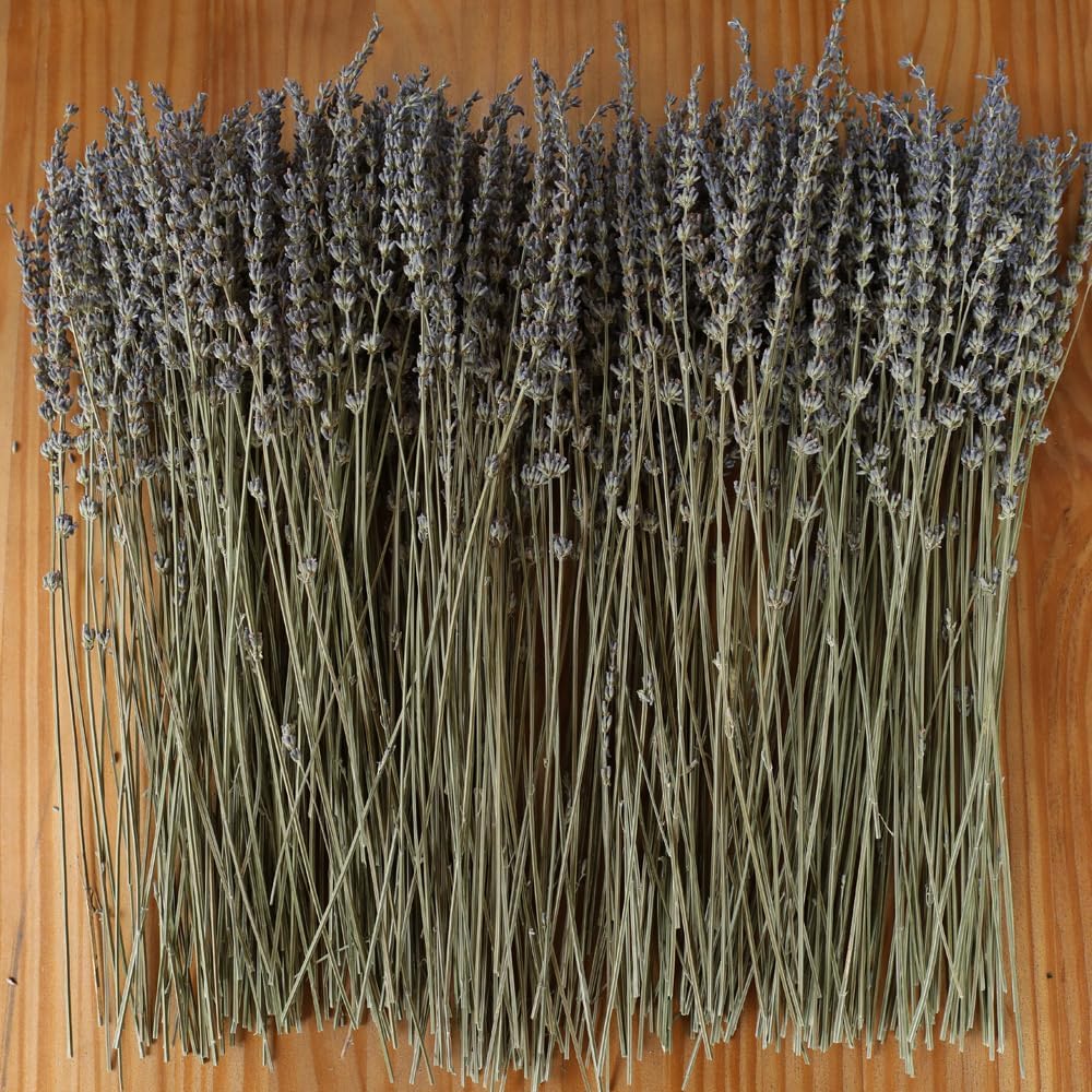 4 Pack Dried Lavender Flowers, 100+ Dried Lavender Stems Per Bundle
