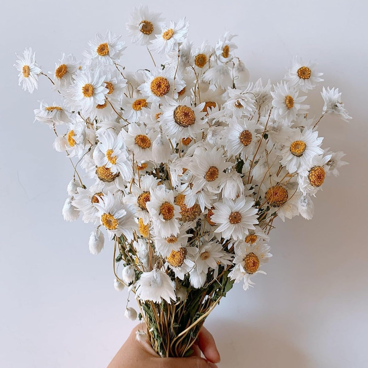 150+ Pcs Dried White Daisy Flowers Bouquet, 17" for Wedding Farmhouse Decor