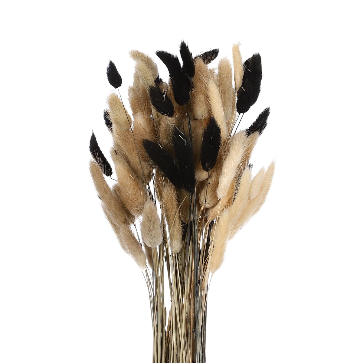 MECCANIXITY 120pcs Natural Rabbit Bunny Tail Dried 24" Mini Dark Green
