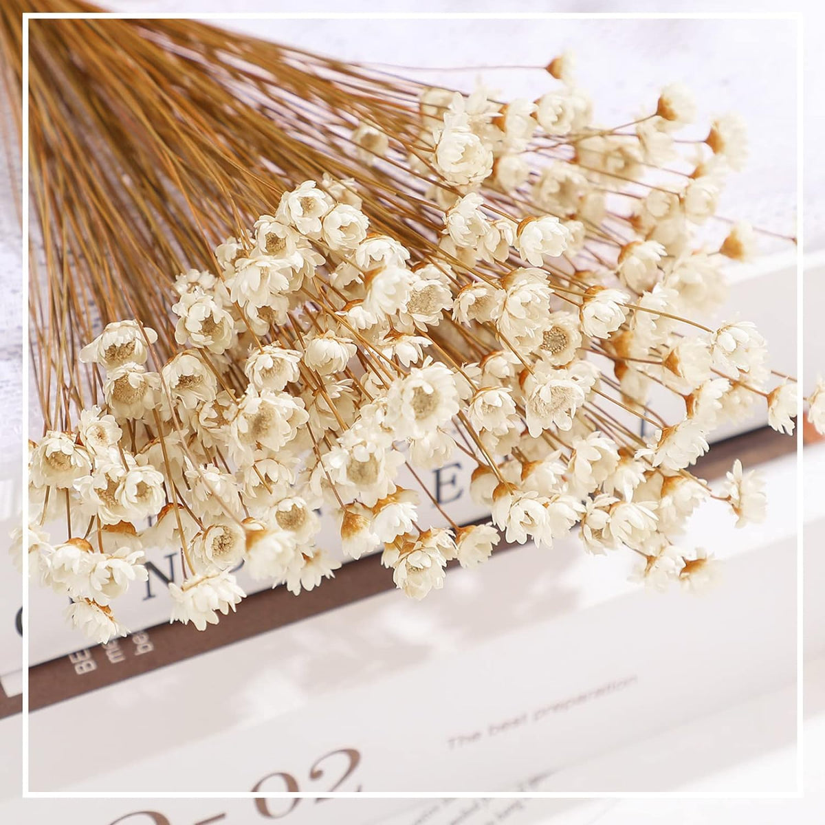 500 Pcs Mini Natural Dry Chamomile Flowers Decoration