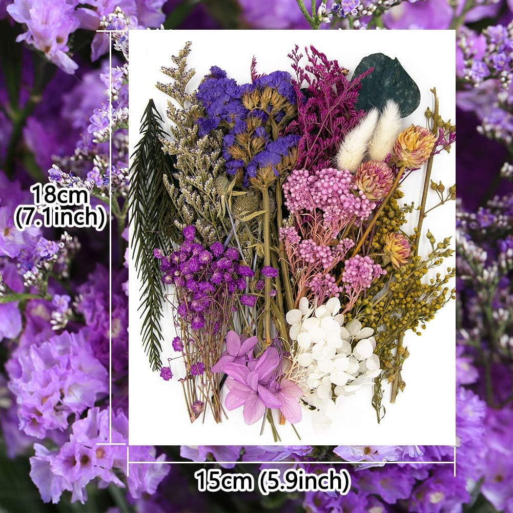 Vignee Real Dried Pressed Leaf Flowers-Multiple Colorful Pressed Flowers Daisies for Craft Resin Jewelry Making Art Craft DIY（Violet）