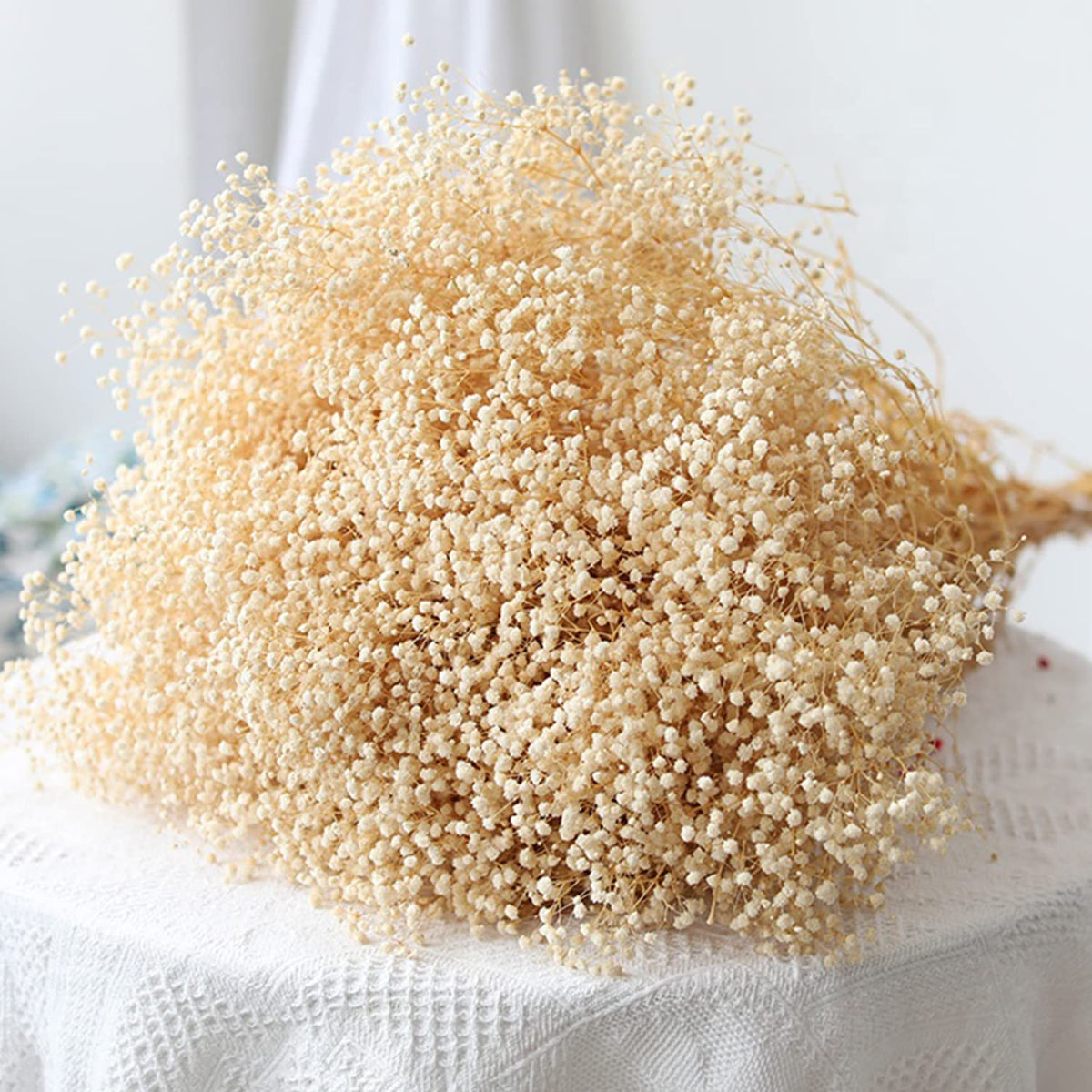 Dried Baby's Breath Flowers, 3 oz, 17.2 in, Ivory White Gypsophila Bouquet