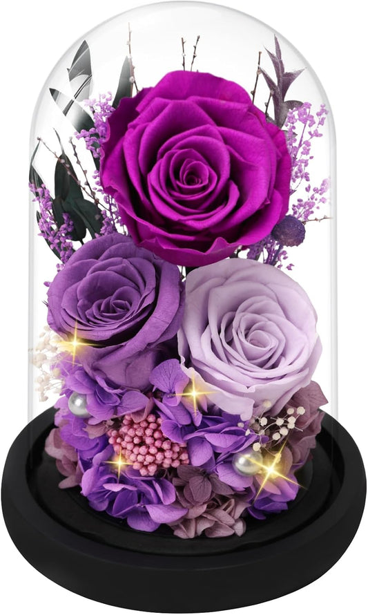 Casaido Preserved Roses Flowers for Delivery, Mothers Day Rose Gifts for Mom Her, Purple Forever Flores in Glass Dome for Wife Girlfriend Grandma, Anniversary Birthday Gift for Vanlentines Christmas