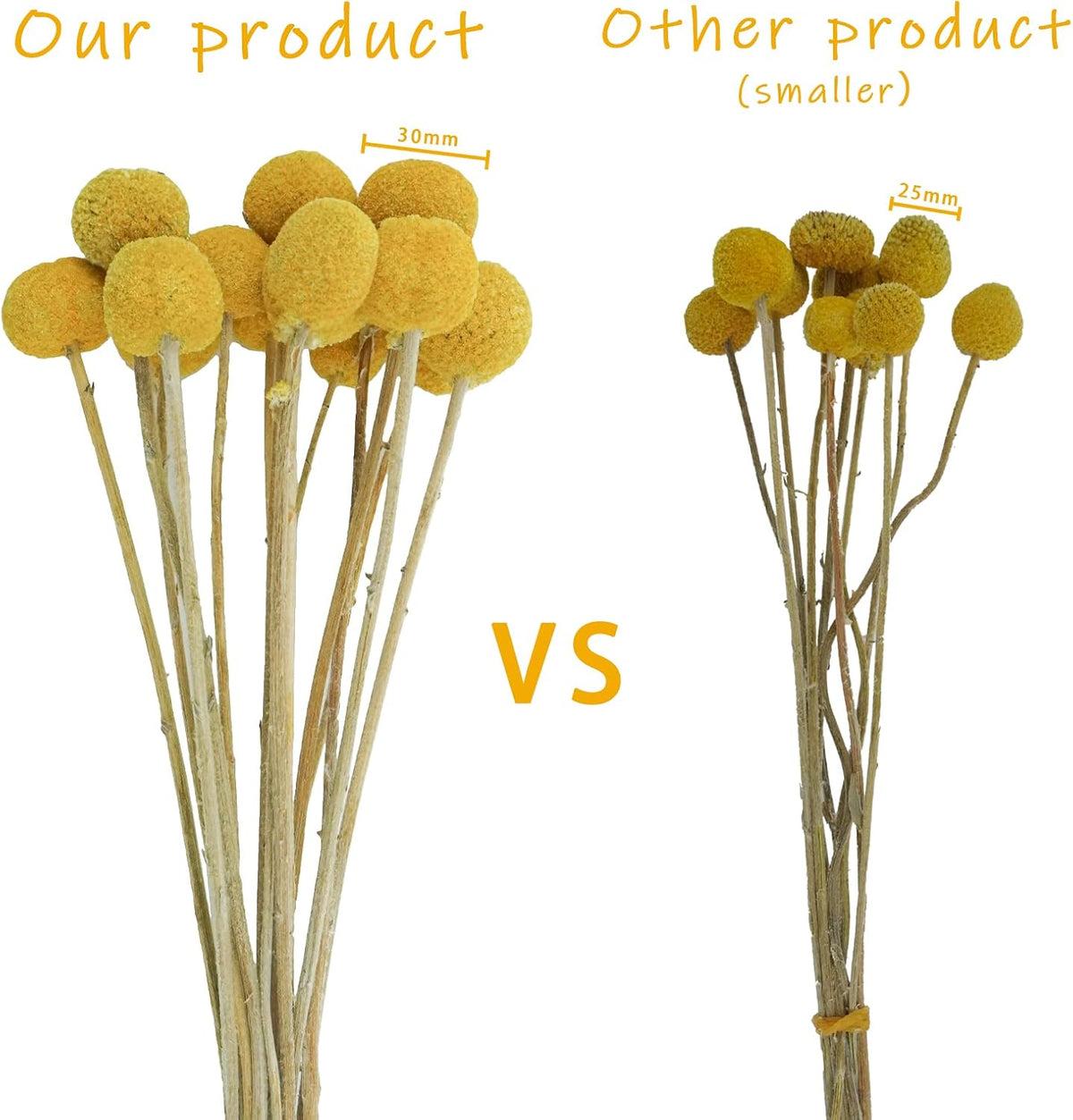 Uieke 30Pcs Natural Dried Flowers Craspedia Billy Balls Flowers Billy Buttons Floral Bouquet for Flower Arrangements Wedding Home Tall Vase Decor Yellow