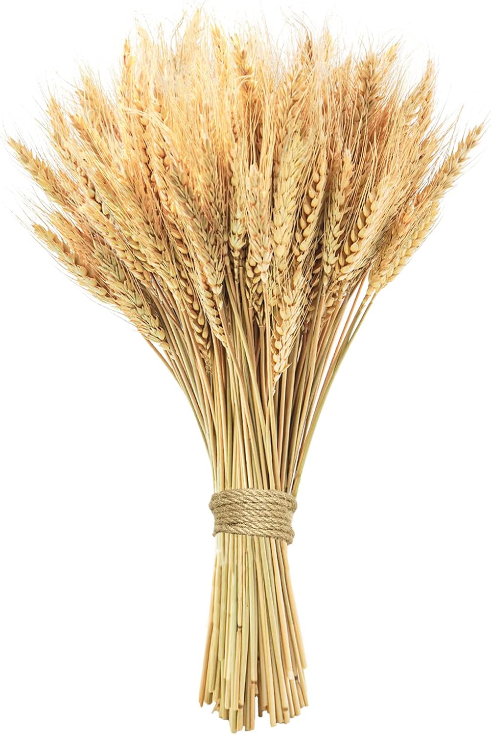 17.7 inches Dried Wheat Stalks, 100 Stems Dried Flowers 100% Natural Wheat for Home Kitchen Office Flowers Arrangement Wedding Table Farmhouse Boho Party Fall Décor