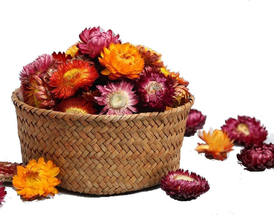 MOORCHOCO Natural Dried Daisy Flowers Heads - 55~60 Pcs Gerbera Daisies Real Sunflowers Chrysanthemum, Dry Flower Arrangements for Wedding Decor, Home Party Decoration and DIY Craft (Multi Colors)