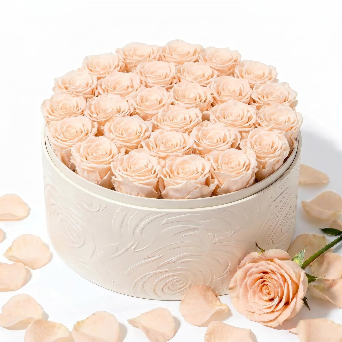 Rosaura Round Preserved Roses Gift Box (Pink, 7 Roses)