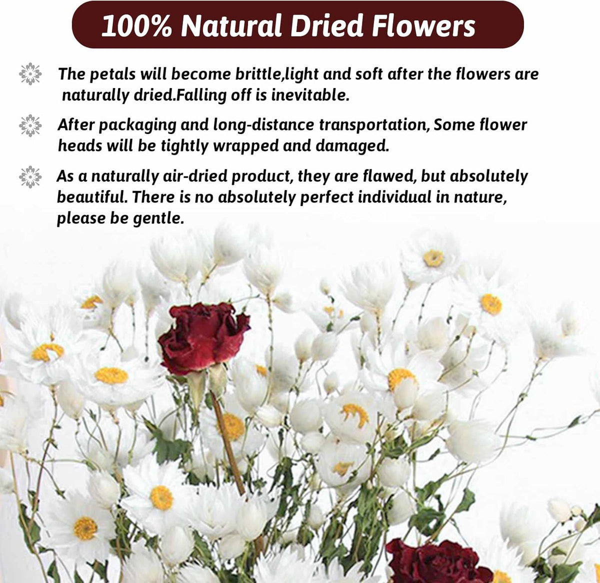 150+ Pcs Dried White Daisy Flowers Bouquet, 17" for Wedding Farmhouse Decor