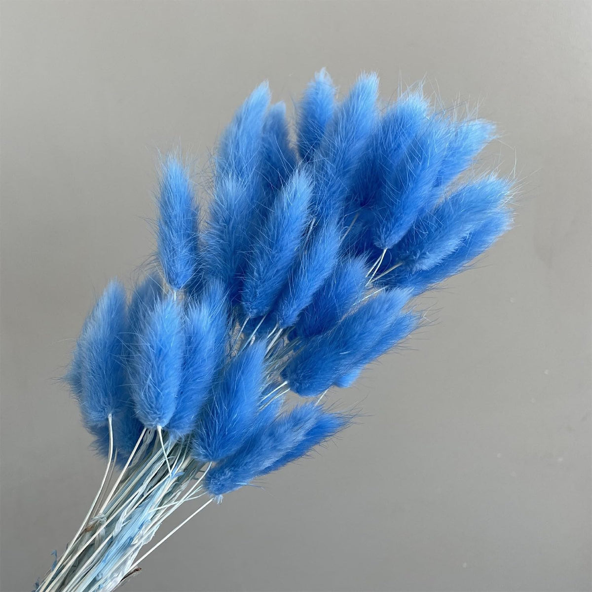 60PCS Rabbit Tail Grass Dried Flowers Dried Natural Floral (Grey)