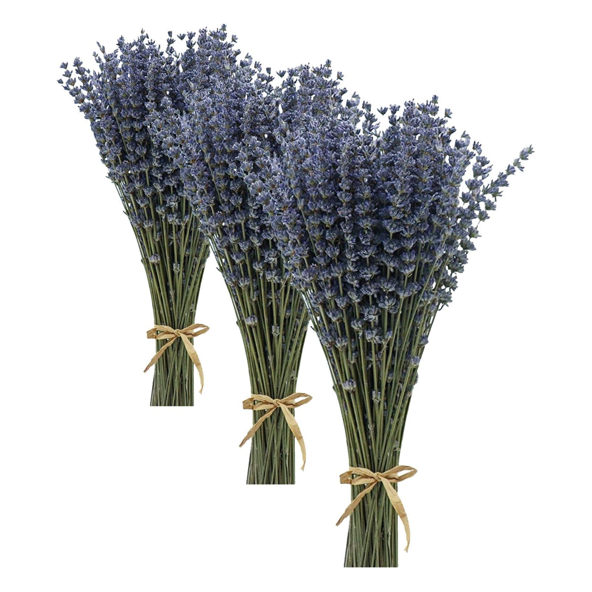 Dried Lavender Flowers Bundles 200 Stems Dry Lavender Bunch for Home Decor, Crafts, Wedding Bouquets