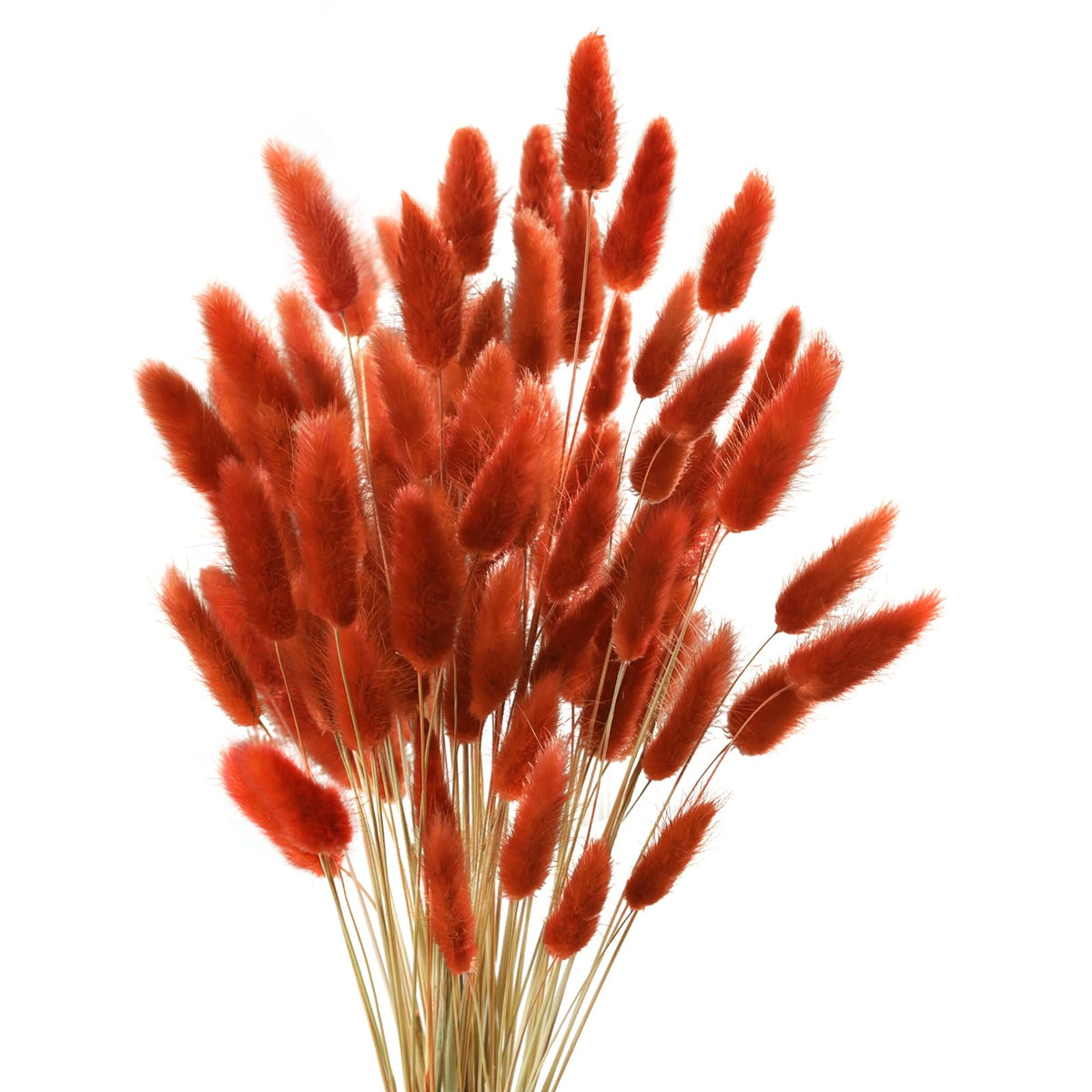 Uieke 120 Pcs Natural Bunny Tails Dried Flowers, 17’’ Dried Lagurus Ovatus, Orange Fall Dried Flowers for Fall Floral Arrangements Wedding Centerpieces Home Baby Shower Party Decorations