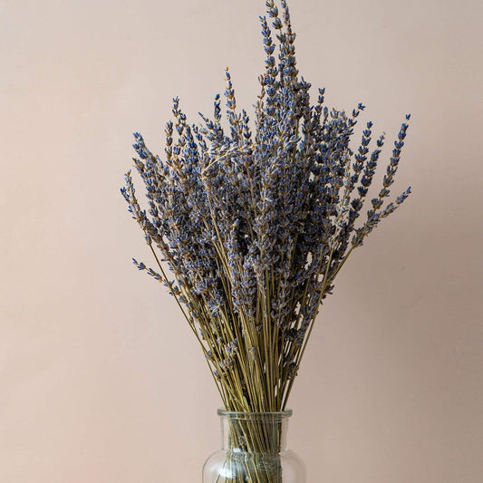 Dried Lavender Flowers Bundles 200 Stems Dry Lavender Bunch for Home Decor, Crafts, Wedding Bouquets