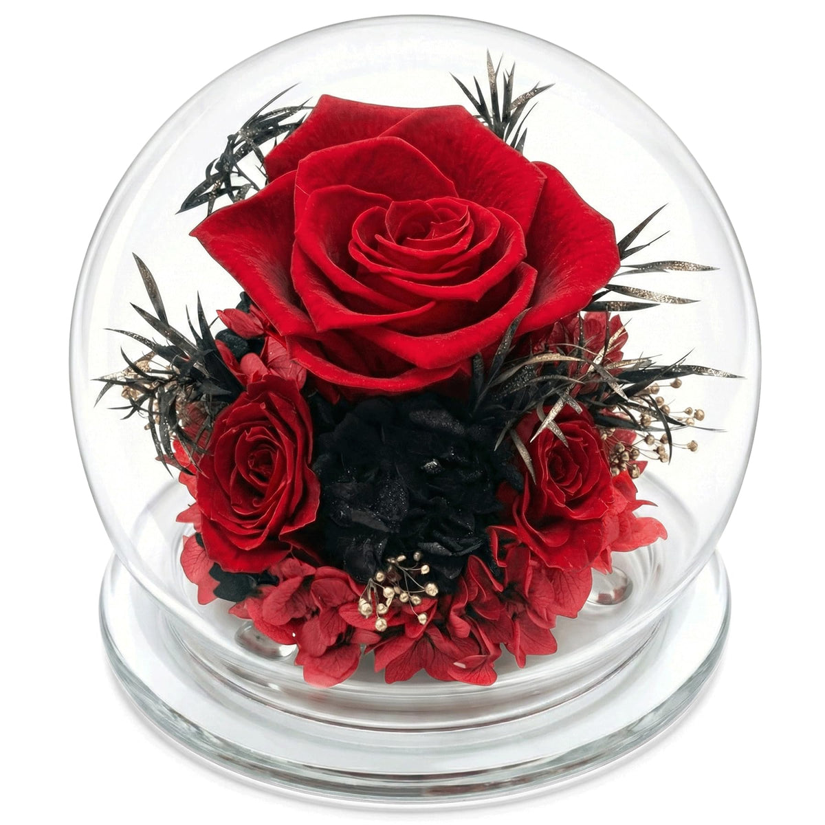 Forever Flowers Preserved Roses Prime Delivery, with Light in Glass Dome for Mom Grandma Wife Girlfriend, Purple Flower for Mother's Day, Valentine's Day, Anniversary, Birthday