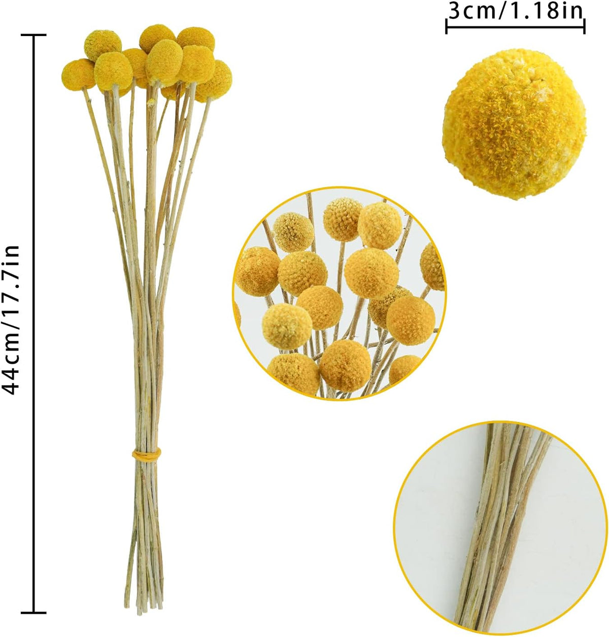 Uieke 30Pcs Natural Dried Flowers Craspedia Billy Balls Flowers Billy Buttons Floral Bouquet for Flower Arrangements Wedding Home Tall Vase Decor Yellow