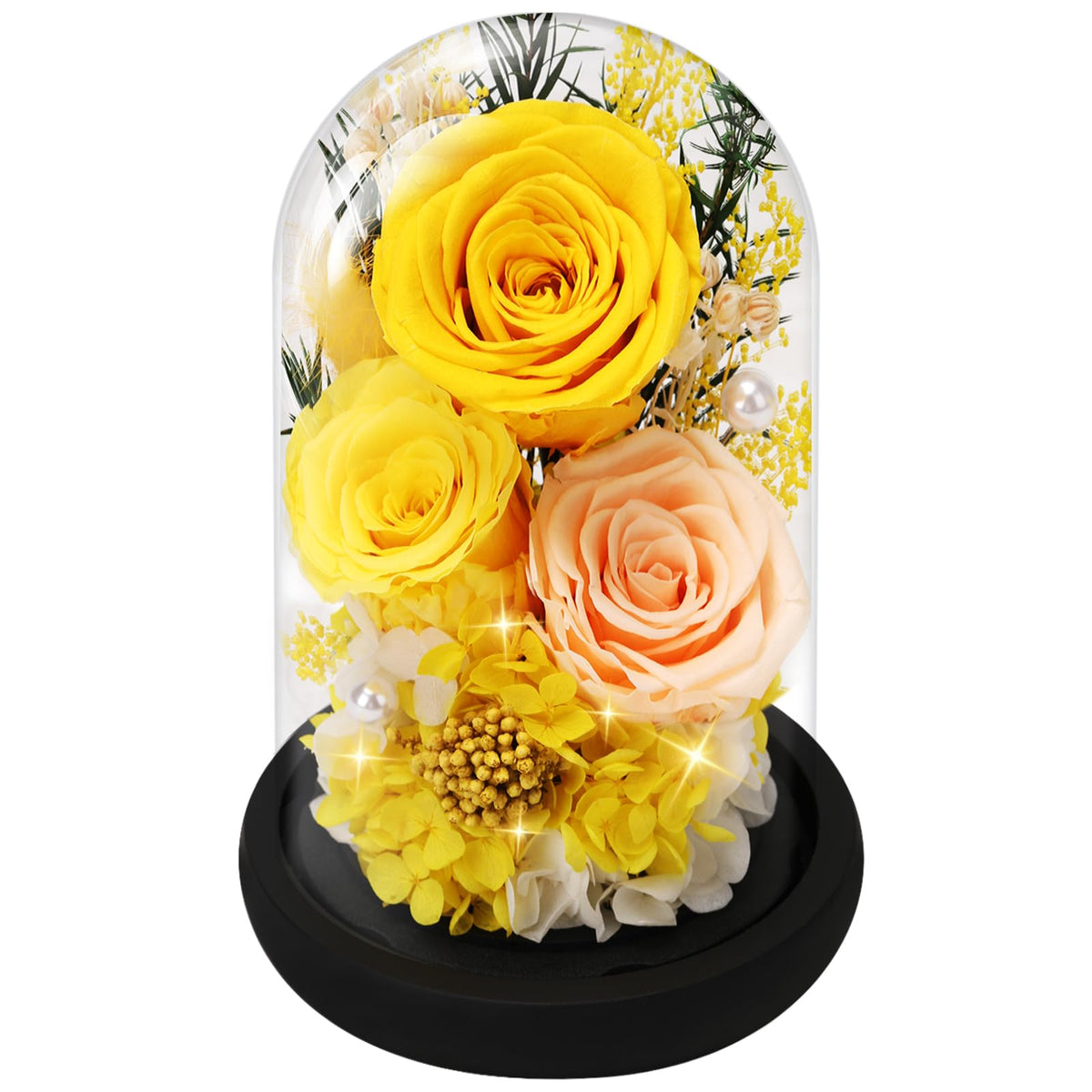 Casaido Preserved Roses Flowers for Delivery, Mothers Day Rose Gifts for Mom Her, Purple Forever Flores in Glass Dome for Wife Girlfriend Grandma, Anniversary Birthday Gift for Vanlentines Christmas