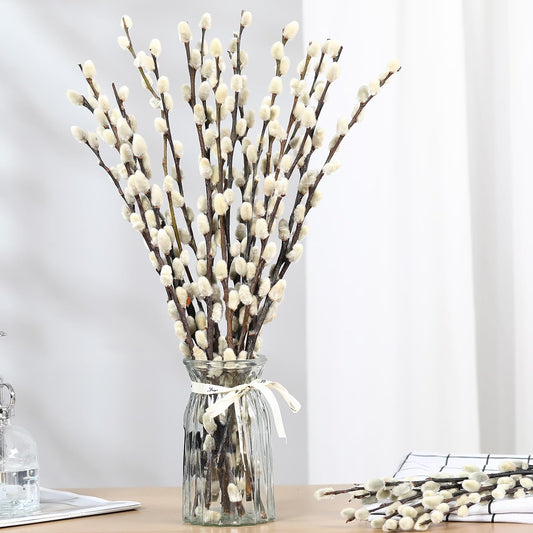 25 Stems Preserved PussyWillow, 17" White for Wedding Home & Fireplace