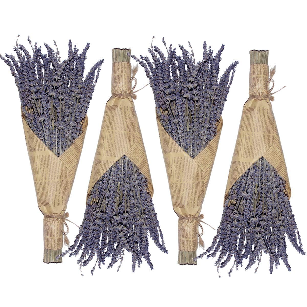 16 Inches Dried Lavender 2 Bunches Real Stems for Home Wedding Decoration