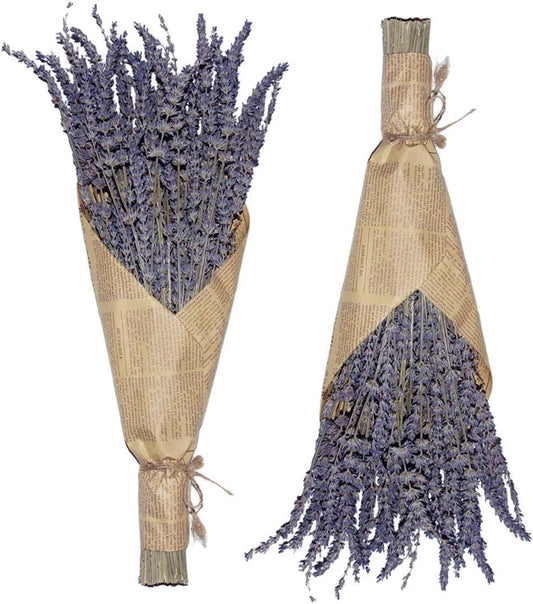16 Inches Dried Lavender 2 Bunches Real Stems for Home Wedding Decoration