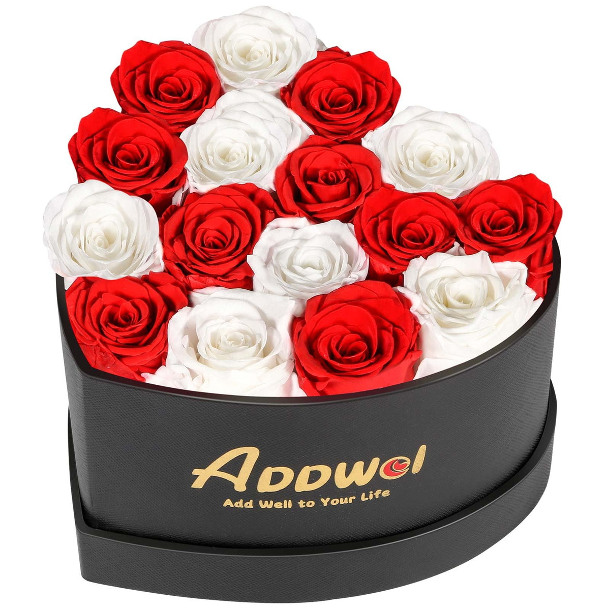ADDWel 12 Preserved Real Roses Bouquet for Her, Forever Red Flowers with LED Lights, Anniversary Birthday Gifts for Wife Girlfriend Mom, Elegant Home Decor