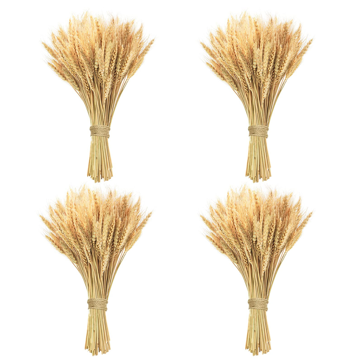17.7 inches Dried Wheat Stalks, 100 Stems Dried Flowers 100% Natural Wheat for Home Kitchen Office Flowers Arrangement Wedding Table Farmhouse Boho Party Fall Décor