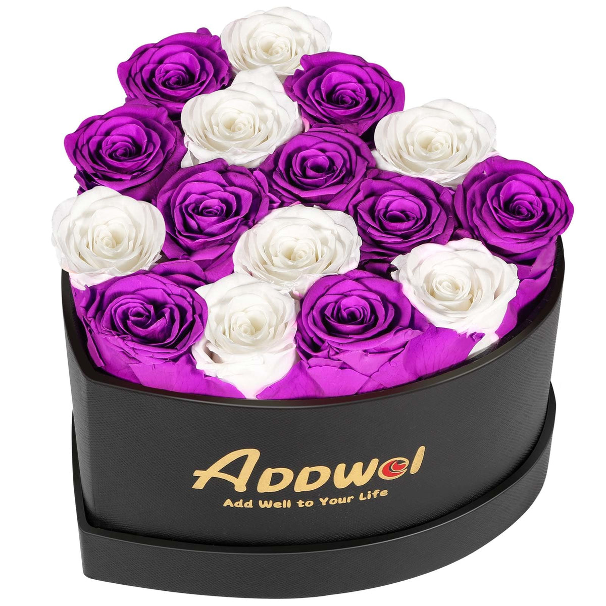 ADDWel 12 Preserved Real Roses Bouquet for Her, Forever Red Flowers with LED Lights, Anniversary Birthday Gifts for Wife Girlfriend Mom, Elegant Home Decor