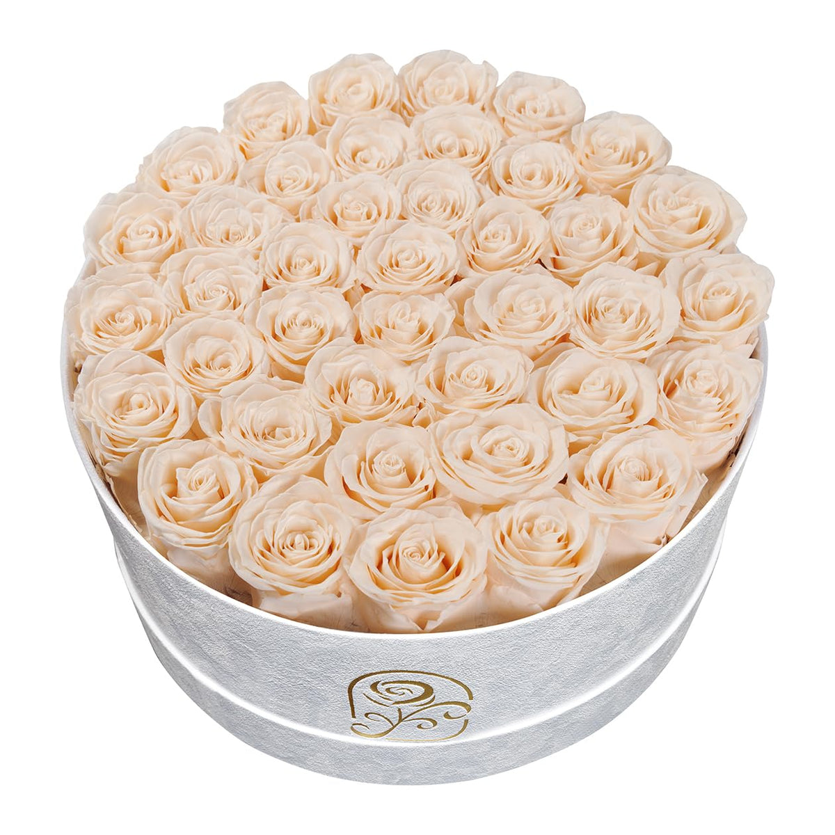 Flowers for Delivery, 20 Preserved Roses in Velvet Box, Gifts for Women