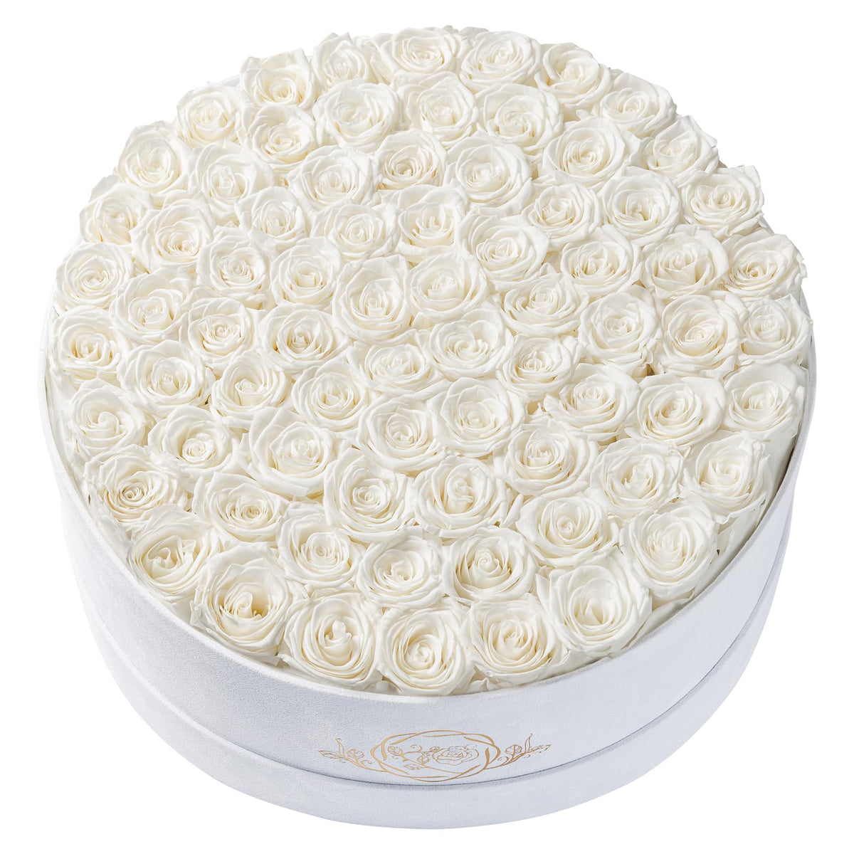 17 Flowers in Luxury Suede Box, Birthday Gifts for Women, Preserved Flowers