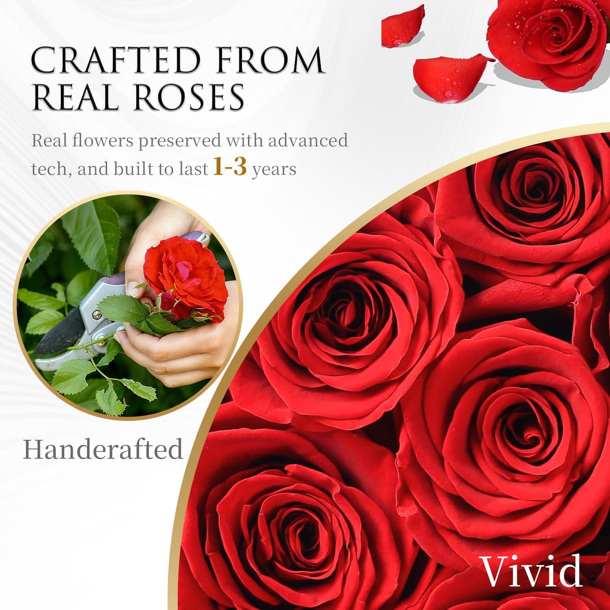Flowers Forever Preserved Roses - 27 Preserved Flowers for Delivery Women Birthday Gifts for Mom Grandma Forever Flower in a Box Rose Gift for Her Wife Anniversary Valentines Gift for Women