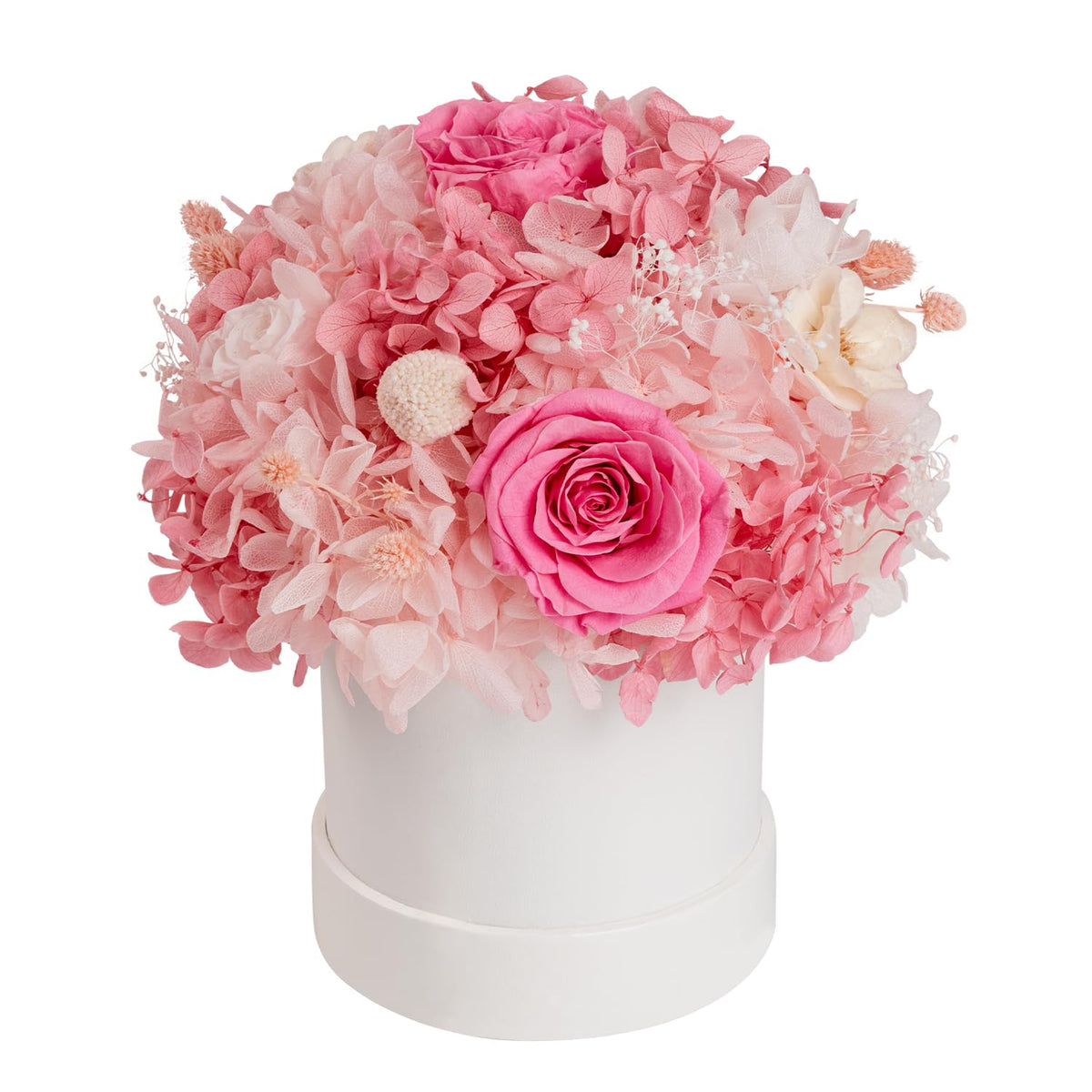 ROSEROSE Preserved Flowers for Delivery Prime,Forever Flowers Bouquet with Gift Box, Eternal Real flowers Gifts for Women,Christmas,Valentine's Day,Anniversary,Birthday for Her (Champagne)