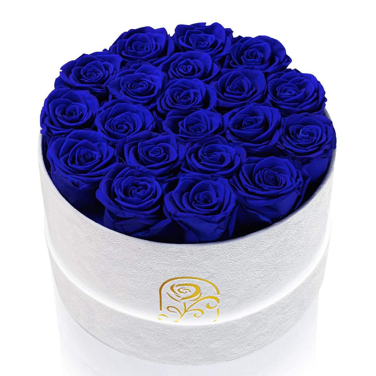 Flowers for Delivery, 20 Preserved Roses in Velvet Box, Gifts for Women