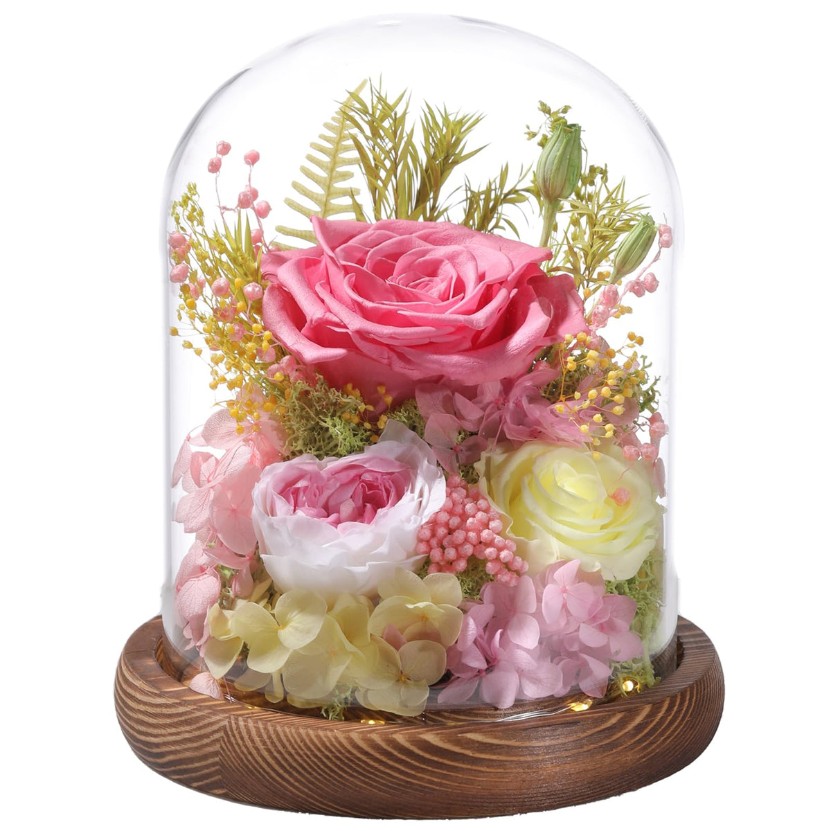 lovenfold Flowers for Delivery Preserved Rose Gifts for Women,Long-Lasting Forever Flowers in Glass Dome, Birthday Gifts for Women Mom Friend(Purple Rose)
