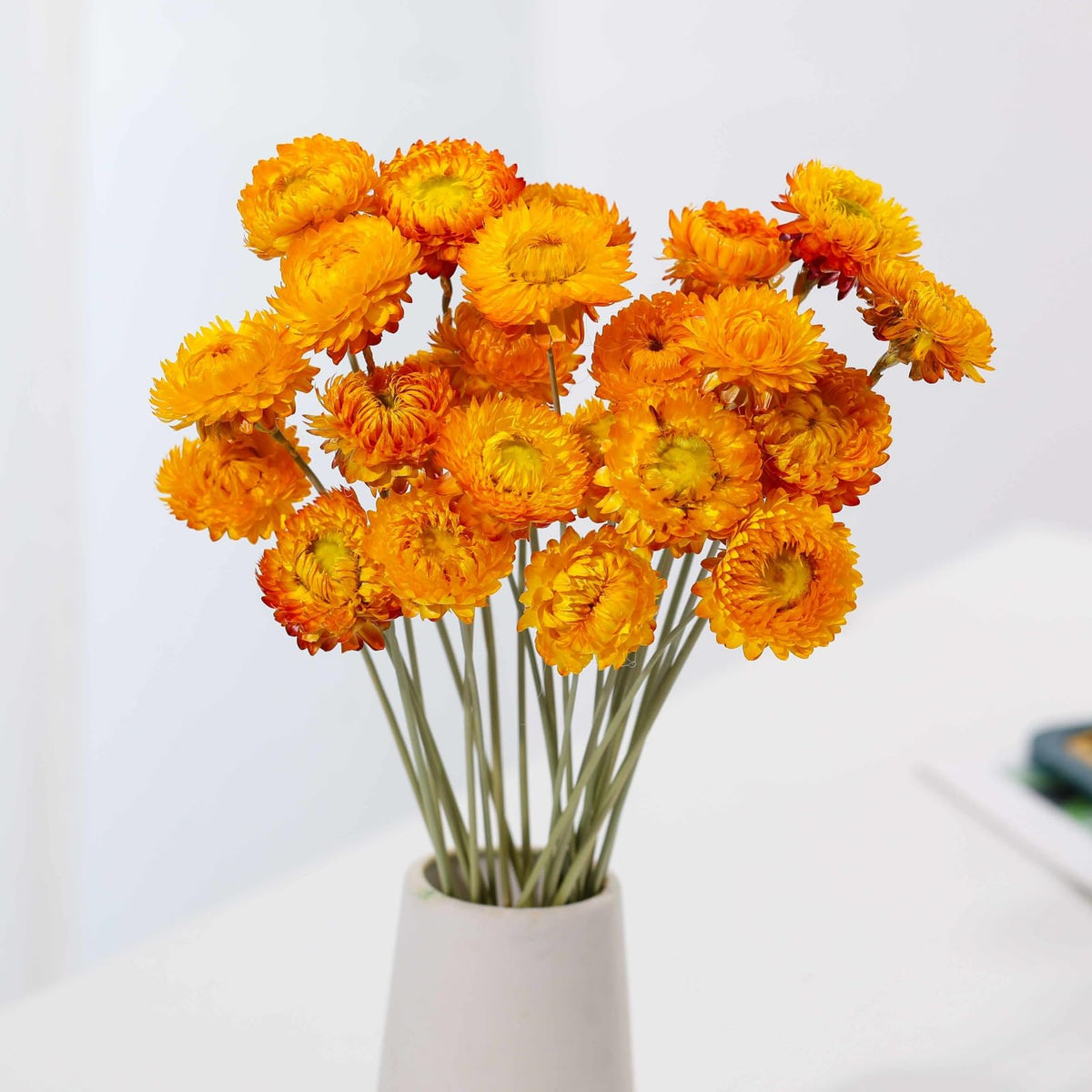 20 Pcs Dried Daisy Flower Bouquet, 17" Multicolor Fall Flowers, Vase Filler