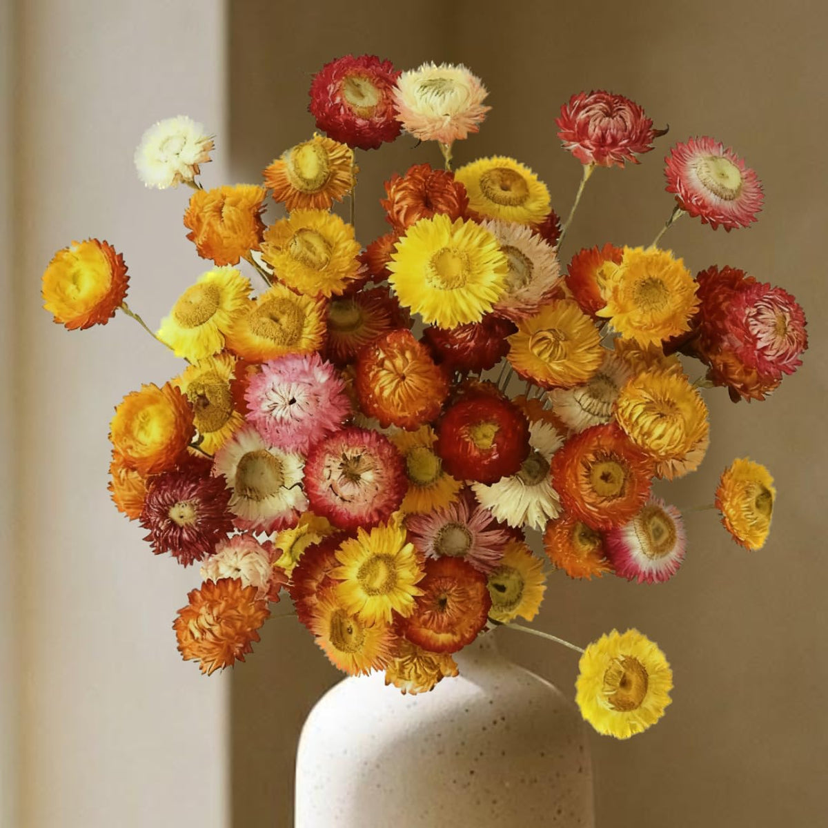 30Pcs Natural Multicolor Dried Daisy Flowers Stems-Dried Flowers Bouquet