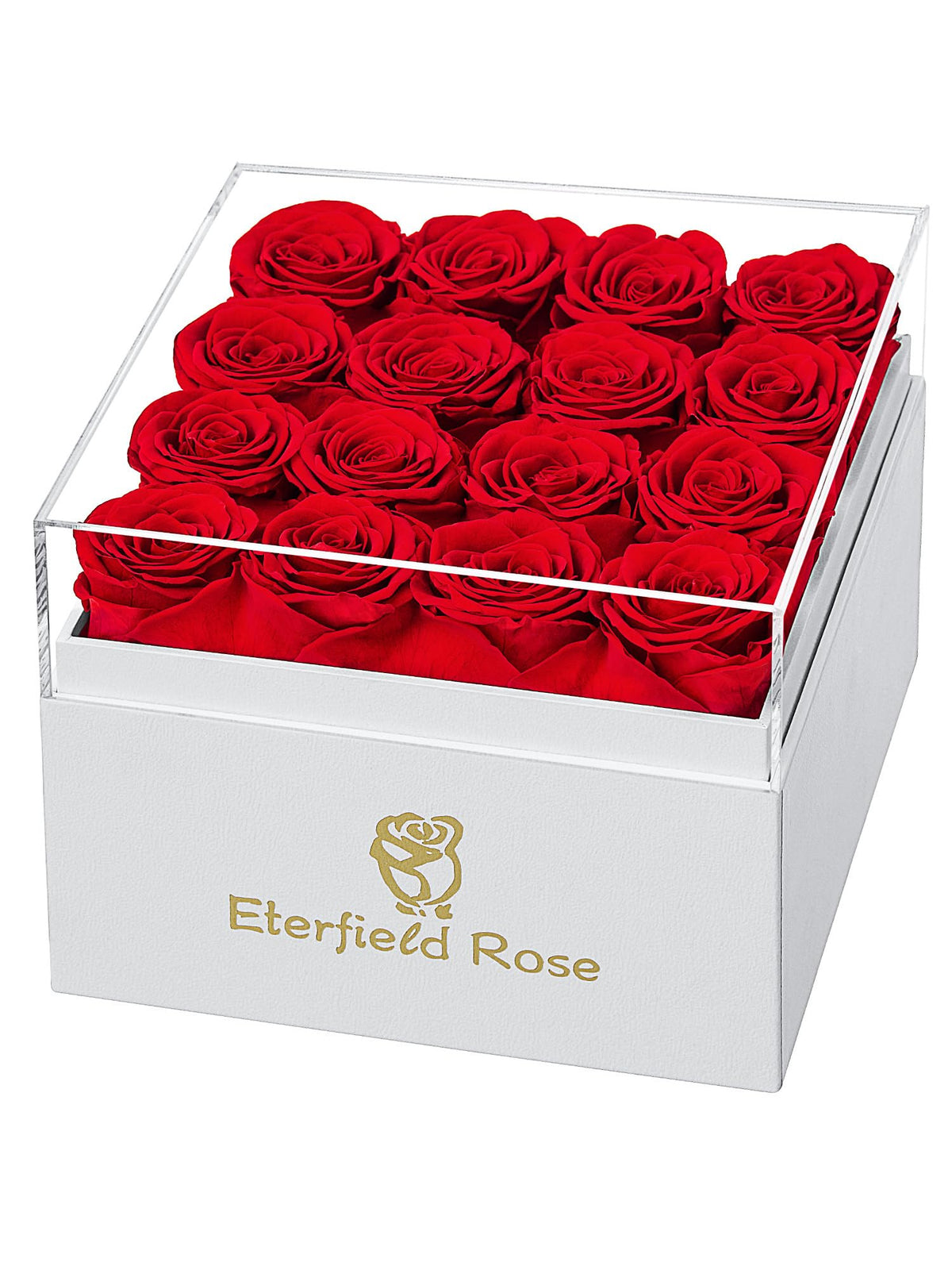Forever Flower Preserved Rose that Last Over a Year Rose Box Pink