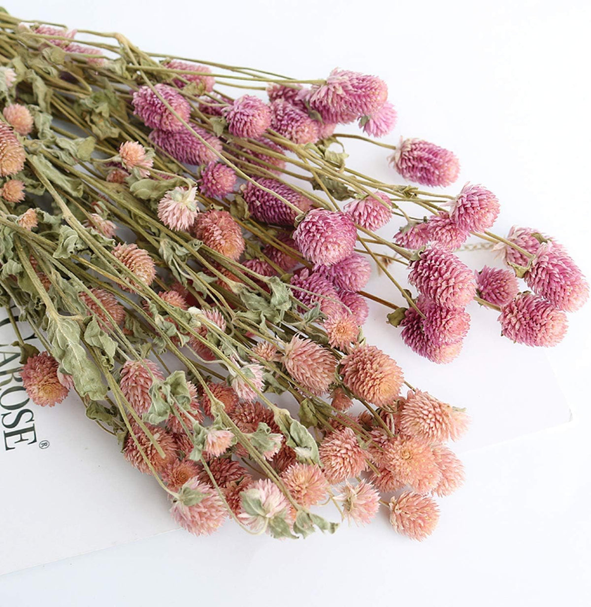 MIHUAGE Dried Flower White Globe Amaranth Dry Flower Bundles 100% Naturally for Home Decor Party (Pink)