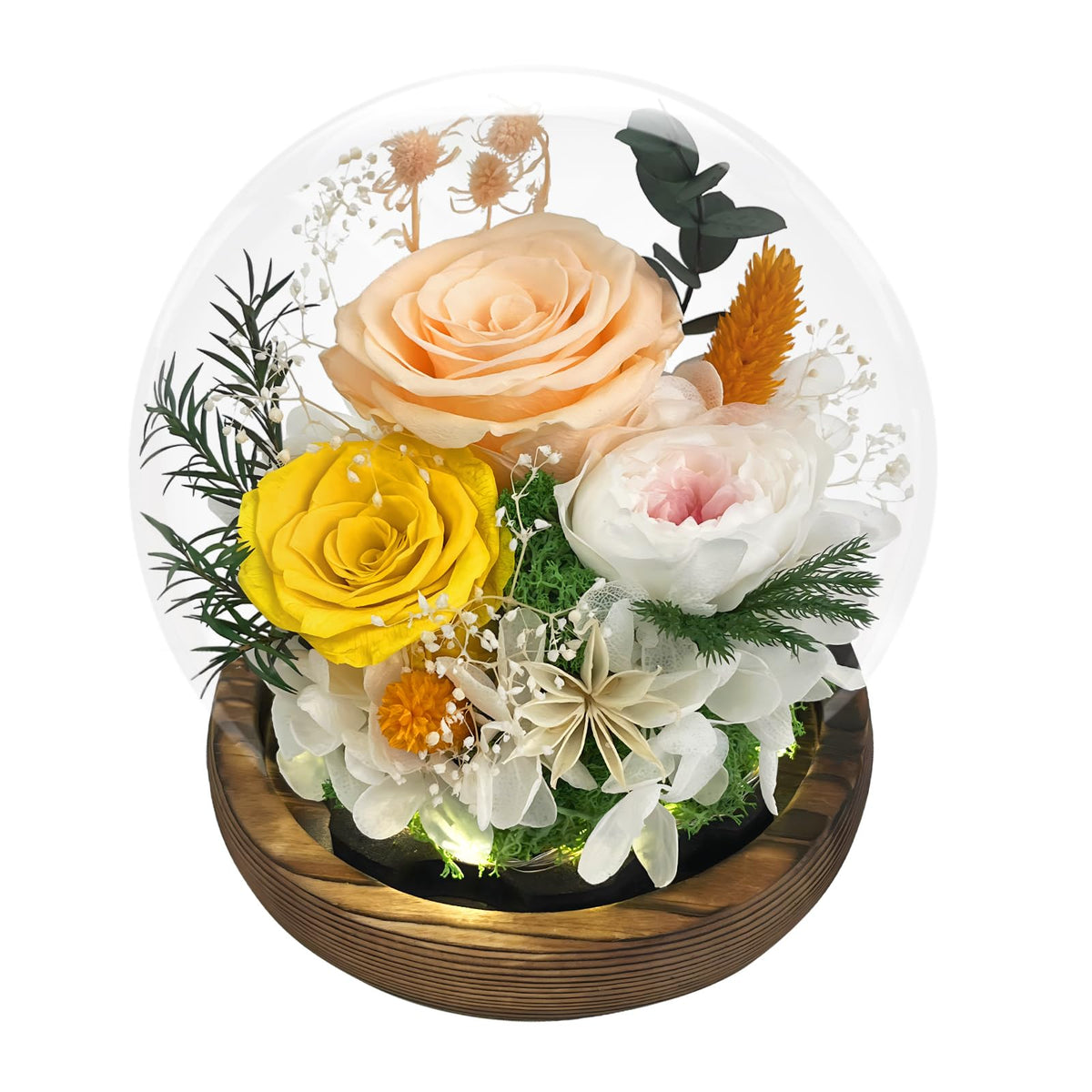 FIACO Gifts for Mom Flowers for Delivery Birthday Gifts for Women Grandma Forever Preserved Eternal Rose in Glass Dome Mother Days Valentines Anniversary for Girlfriend Wife Her, Purple