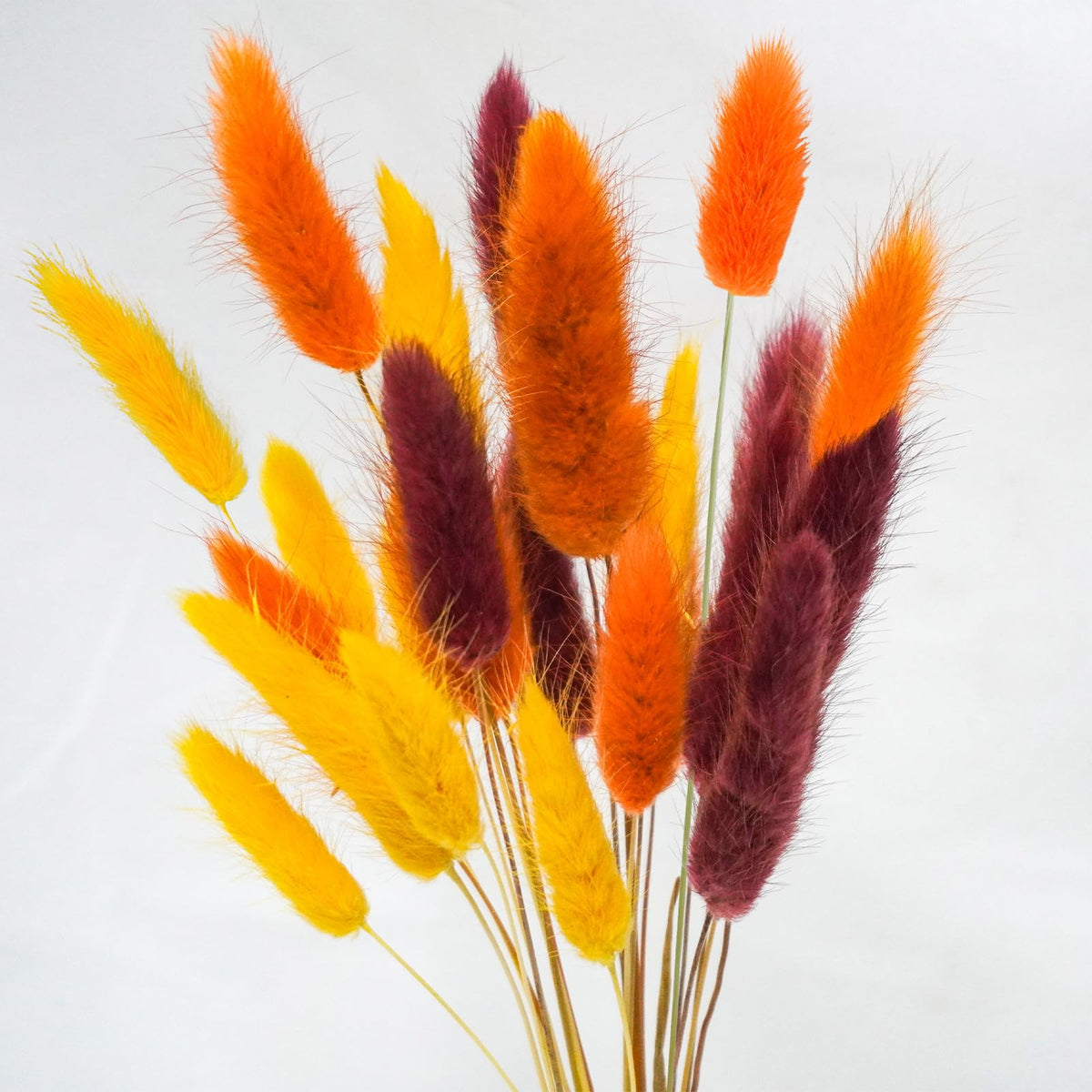 Uieke 120 Pcs Natural Bunny Tails Dried Flowers, 17’’ Dried Lagurus Ovatus, Orange Fall Dried Flowers for Fall Floral Arrangements Wedding Centerpieces Home Baby Shower Party Decorations