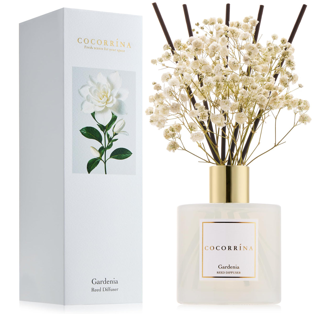 Cocorrína Premium Reed Diffuser Set with Preserved Baby's Breath & Cotton Stick Sandalwood Rose | 6.7oz Scent Fragrance Oil Diffuser for Bedroom Bathroom Home Décor