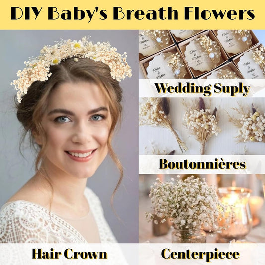 6000+ Mini Dried Baby's Breath Flowers, 100 Pcs Ivory White Gypsophila, 6in