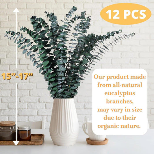 12PCS Dried Eucalyptus for Shower Hanging Real Preserved Eucalyptus Stems