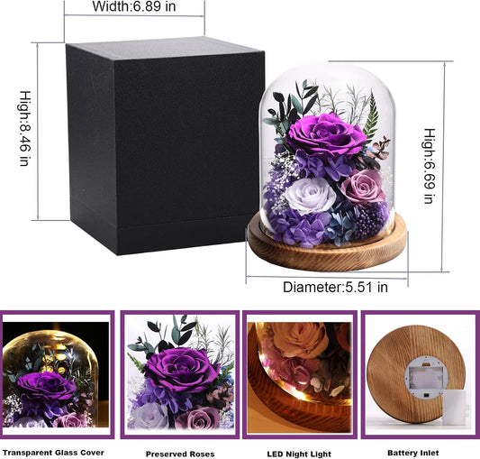 lovenfold Flowers for Delivery Preserved Rose Gifts for Women,Long-Lasting Forever Flowers in Glass Dome, Birthday Gifts for Women Mom Friend(Purple Rose)