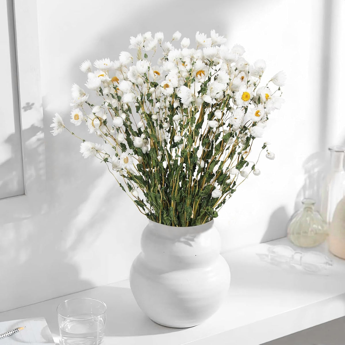 CITYES Dried Daisy Flowers Bouquet Dried Flowers White with Stems Real Chrysanthemum Gerber Daisies Arrangements for Wedding Farmhouse Vase Decorations DIY Home Party Wildflower Decor