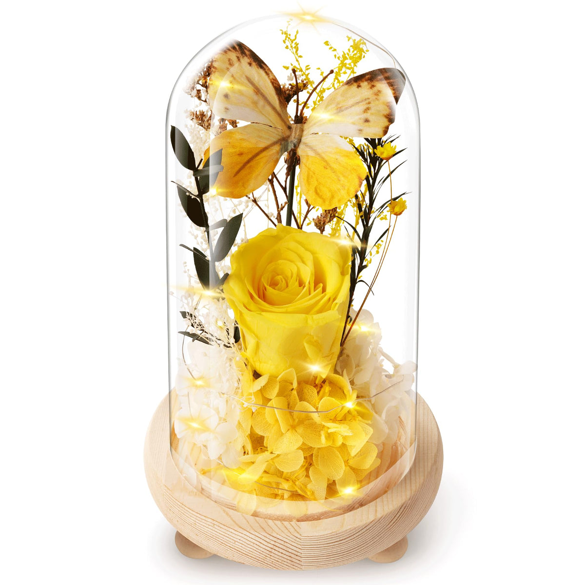 Forever Flowers Preserved Roses Prime Delivery, with Light in Glass Dome for Mom Grandma Wife Girlfriend, Purple Flower for Mother's Day, Valentine's Day, Anniversary, Birthday