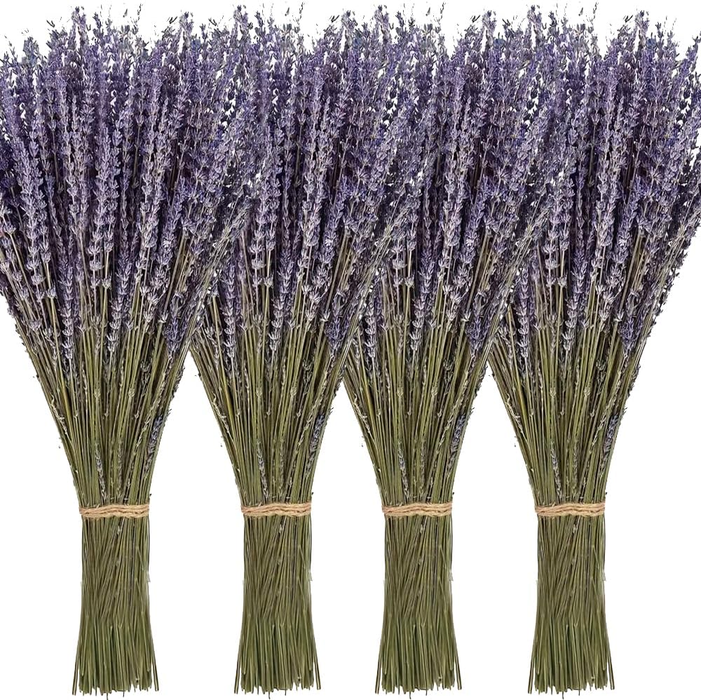 4 Pack Dried Lavender Flowers, 100+ Dried Lavender Stems Per Bundle
