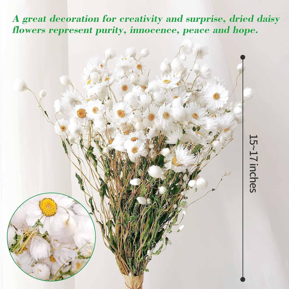 150+ Pcs Dried White Daisy Flowers Bouquet, 17" for Wedding Farmhouse Decor