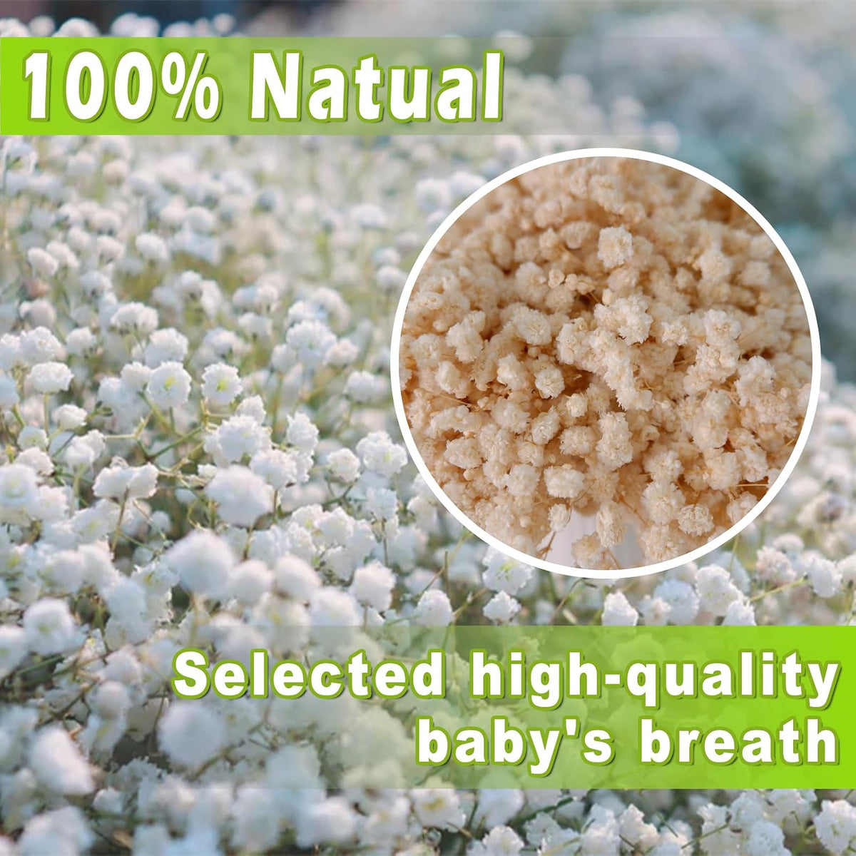 9000+ Mini Dried Baby's Breath Flowers Ivory White for Wedding Decor