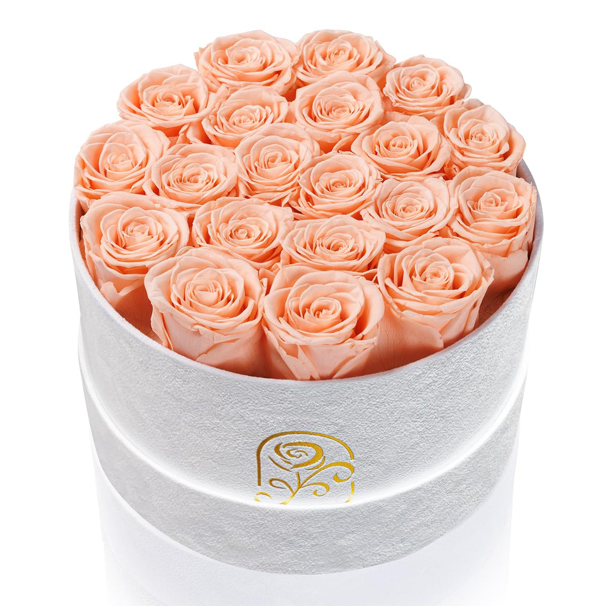 Flowers for Delivery, 20 Preserved Roses in Velvet Box, Gifts for Women