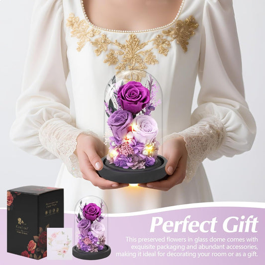 Casaido Preserved Roses Flowers for Delivery, Mothers Day Rose Gifts for Mom Her, Purple Forever Flores in Glass Dome for Wife Girlfriend Grandma, Anniversary Birthday Gift for Vanlentines Christmas