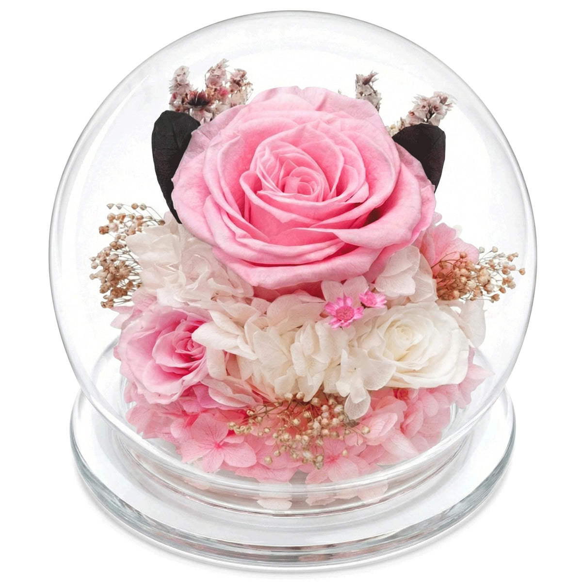Forever Flowers Preserved Roses Prime Delivery, with Light in Glass Dome for Mom Grandma Wife Girlfriend, Purple Flower for Mother's Day, Valentine's Day, Anniversary, Birthday