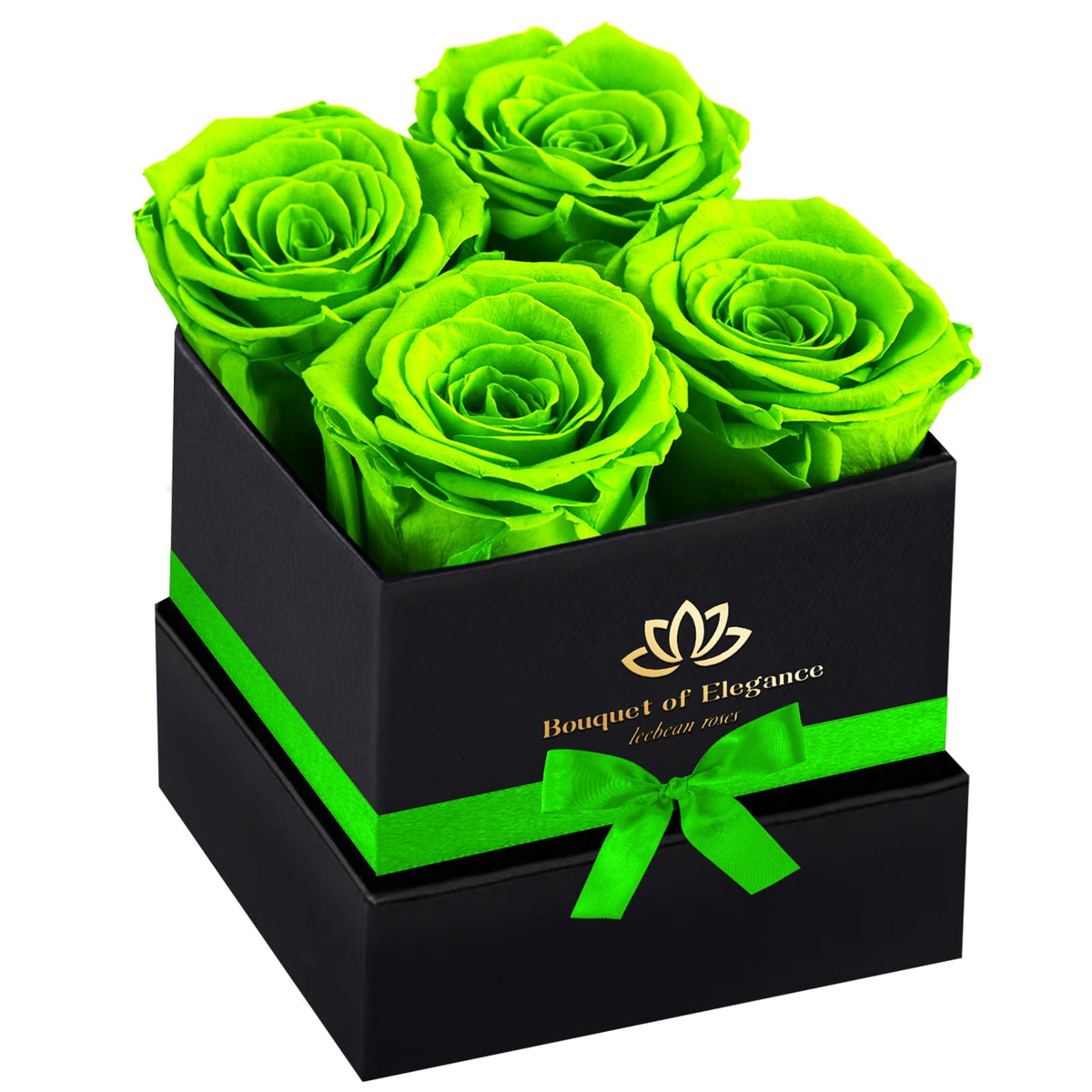 Forever Flowers Roses in A Box,Real Preserved Flowers,Preserved Roses,Preserved Flowers for Delivery,Birthday Gifts for Women/Men/Mom,Flowers for Mothers Day,Valentine's Day Rose Gifts,Red
